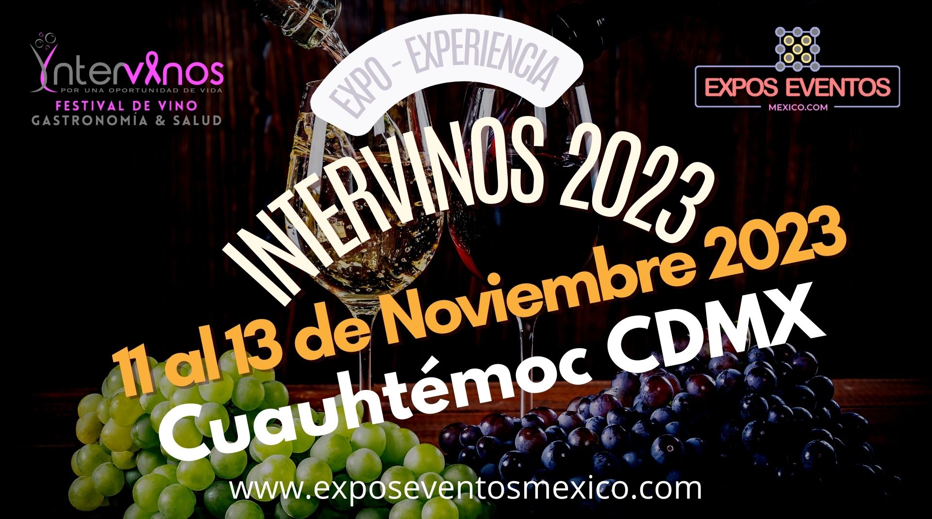 Intervinos 2022 CDMX Festival de Vino Boutique